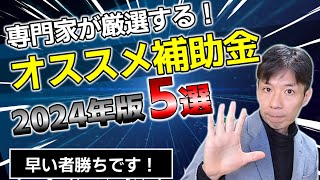 【補助金2024年】申請しやすい補助金3選・使いやすい補助金2選 [upl. by Atinyl16]