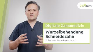 Wurzelbehandlung am Schneidezahn  Digitale Zahnmedizin  360°zahn [upl. by Kean]