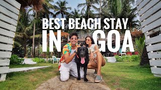 BEST BEACH COTTAGE in a BUDGET  Ashwem Beach GOA [upl. by Elinore]