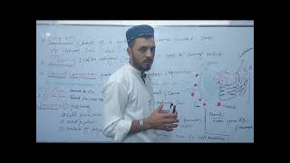 Golgi bodyGolgi apparatus class 11 bio explain by Tariq Roghani in Urdu Hindi language [upl. by Ogaitnas449]