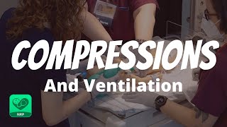 Compressions and Ventilations for Neonatal Resuscitation  NRP Mastery for Nurses [upl. by Nylorak]