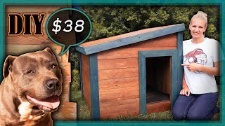 How to Build a Dog Kennel with Pallet Wood★DIY Wooden Pallet Dog House★Making a Warm Paling DogHouse [upl. by Anairam]