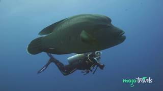 Top 10 Most Awesome Scuba Diving Spots Ever [upl. by Christan581]