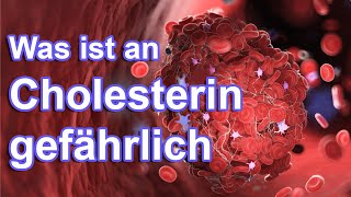 GR Cholesterin im Griff Natürliche Wege zur Senkung amp Vorbeugung [upl. by Aihsenak679]