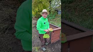 Hochbeet aus alten Balkonbrettern👍garten tipps gardening nachhaltigkeit video [upl. by Muncey]