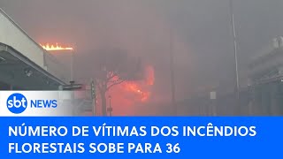 Incêndios florestais no Havaí deixa 36 mortos  SBTNewsnaTV 100823 [upl. by Hadeis699]