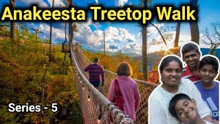 Treetop Walk amp Cataract Falls  Smoky Mountain  Series 5  USA Tamil vlogs [upl. by Niwled]