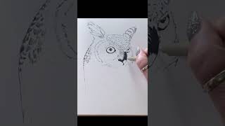 micron pen and alcohol marker owl [upl. by Ogg]