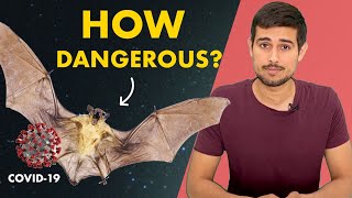 Coronavirus Source Truth about Bats  Dhruv Rathee [upl. by Lucas691]