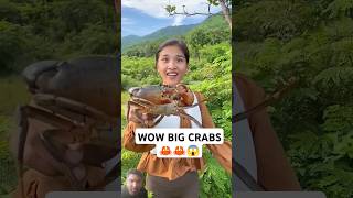 Survival Morshed Simple and Useful with Crabs🦀🦀😲 survival useful crab bushcraft food camping [upl. by Azila]