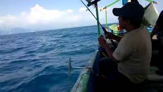 Deep Sea Fishing using Garmin Fishfinder [upl. by Spooner]