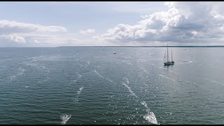 Segelyacht Greif von Ueckermünde [upl. by Ainig284]