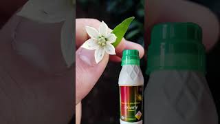 GHARDA CHEMICALS regulators fungicides insecticidestomato farming pesticidespray spraying [upl. by Sivam]