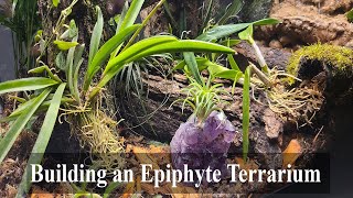 Building Epiphyte Terrarium [upl. by Crim]