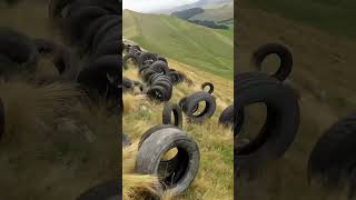 Rolling Tires Down the Hill for a 1 Lakh Prize [upl. by Issirk]