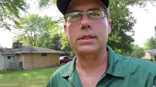 How to know if you have Fall Armyworms in Ohio [upl. by Mccreery630]