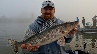 Fall Walleye and Sauger fishing on the Mississippi River [upl. by Haniraz800]