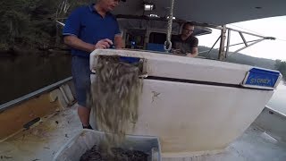 Commercial fishing on the Hawkesbury river Part 2 How to catch Prawns [upl. by Gamaliel]