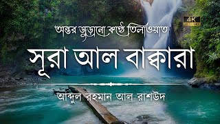 সূরা আল বাকারা এর অত্যন্ত দরদী কন্ঠে তিলাওয়াত┇Surah Al Baqarah Recited by Abdul Rahman Al Rashoud [upl. by Lemert530]