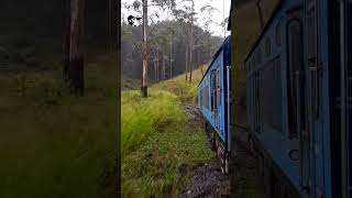 Nanuoya Colombo Train Stopped in Upcountry Forests 😍 shorts train travel [upl. by Machos72]