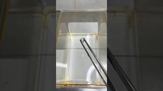 Demo Sodium metal reacting with water Group 1 metal Doc Hill Experiment [upl. by Bajaj]