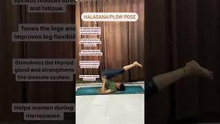 How to do Halasana for Beginners  Halasana Yoga  Plough Pose shorts [upl. by Enerehs]