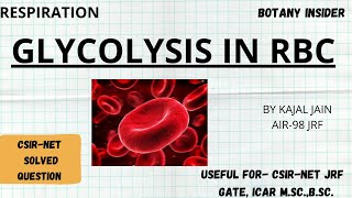 Glycolysis in Erythrocytes  RBC  Regulation of Glycolysis  PYQ Included  CSIRNET JRF  GATE [upl. by Daraj]