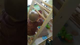 12 month old climbing pikler triangle [upl. by Africa]