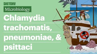 Chlamydia trachomatis pneumoniae amp psittaci  USMLE Step 1  Sketchy Medical [upl. by Sivahc676]