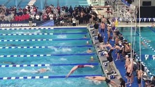 University of TEXAS Men SETS NEW NCAA AMERICAN AND US OPEN RECORDS IN 800 FREE RELAY 60508 [upl. by Cohdwell]