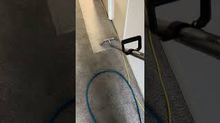 Carpet Steam Cleaning Services carpet steamcleaning homecleaning [upl. by Farlee504]