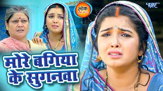 मोरे बगिया के सुगनवा  Nirahua amp Amarpali Dubey का रुला देने वाला विडियो  Bhojpuri Sad Song [upl. by Womack108]