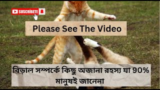 বিড়ালের কিছু অজানোর রহস্য Some unknown secrets of cats [upl. by Omrellig]