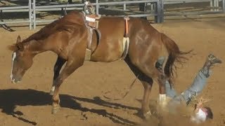 Ranch Broncs  2018 Will Rogers Range Riders Rodeo  Thursday [upl. by Winton669]