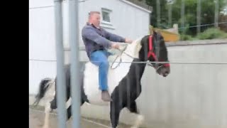 Horse Speed Lane at Ballinasloe Horse Fair [upl. by Reklaw]