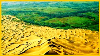 MIRACLE OF THE CHINA DESERT  China and Arab Race to Green the Desert [upl. by Starks]