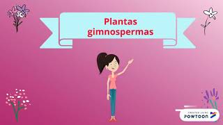 Plantas con semillas angiospermas y gimnospermas [upl. by Evey]