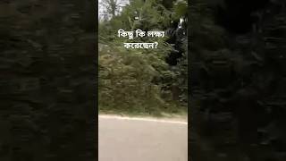 Hridoy chire dekhoviral shortsforyousongsanjaykumar [upl. by Kyred]