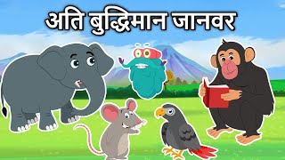 कौनसा जानवर अति बुद्धिमान है  Super Intelligent Animals In Hindi  Dr Binocs Show [upl. by Duwalt]