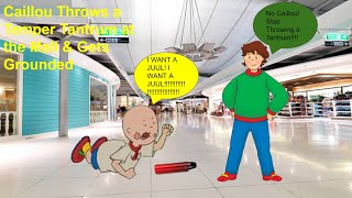 Caillou Throws a Temper Tantrum at the Mall amp Gets Grounded [upl. by Millford]