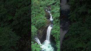 Taveuni island waterfalls fiji travel explore travelguide shorts [upl. by Reinert]