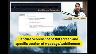 Selenium 14  In हिन्दी how to take screenshot of full screen and specific WebElement on web page [upl. by Craggie]