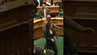 New Zealand parliament Haka [upl. by West]