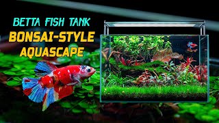 Betta Bliss A StepbyStep Guide to Creating a Stunning BonsaiInspired Aquascape for Your Betta [upl. by Alayne]