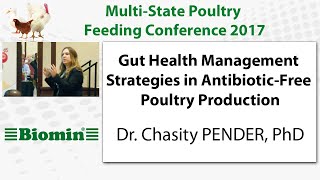 Gut Health Management Strategies in AntibioticFree Poultry Production [upl. by Claudie647]