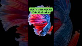 Top 10 Most Popular Pets Worldwide [upl. by Tore]