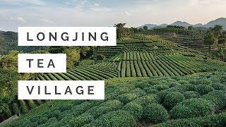 Longjing Tea Villages  Hangzhou [upl. by Anisah286]