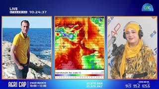 ☎️مداخلة هاتفية مع الاستاذ عامر بحبه في فقرة Météo للحديث حول اخر المستجدات المناخية في تونس [upl. by Ecienal44]