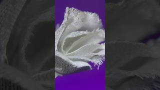 I Tried Deep Frying a Rose You Wont Believe What Happened [upl. by Micheline]