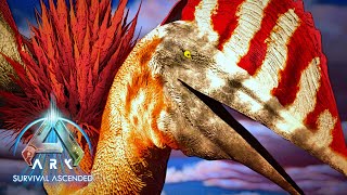 Xyphias HATZEGOPTERYX Spotlight  ARK Ascended [upl. by Saffian]